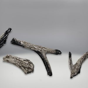 Beach fire kit